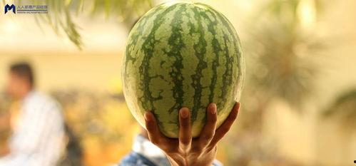 娱乐圈可以吃大瓜